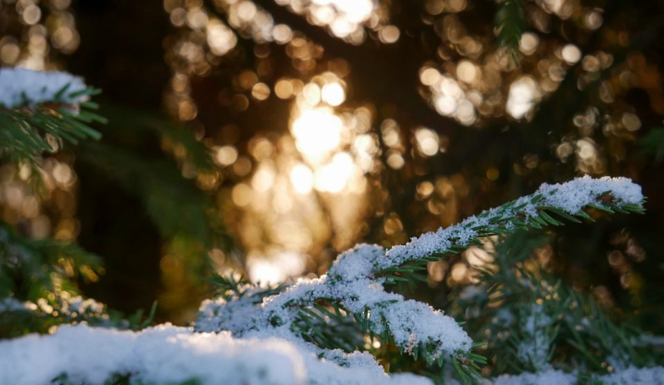 Erster Schnee: Die Liste, die ich jedes Jahr abarbeite