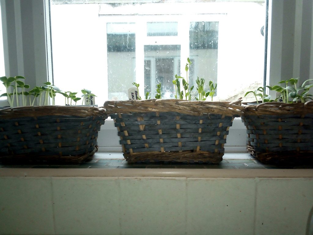 Fenster abdichten für 40 Euro: Der Winter danach
