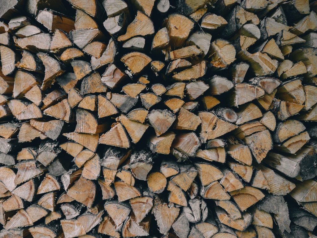 Holz machen im Herbst – ein Nachmittag, der sich rechnet
